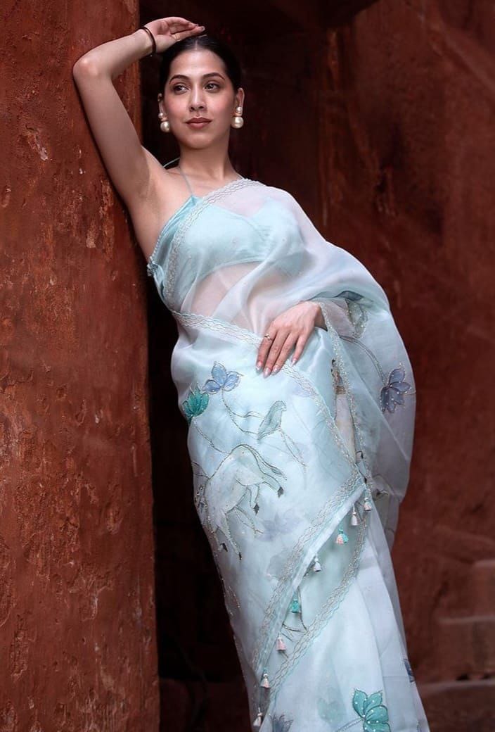 Ethereal Hand-Painted Organza Saree with Pastel Motifs